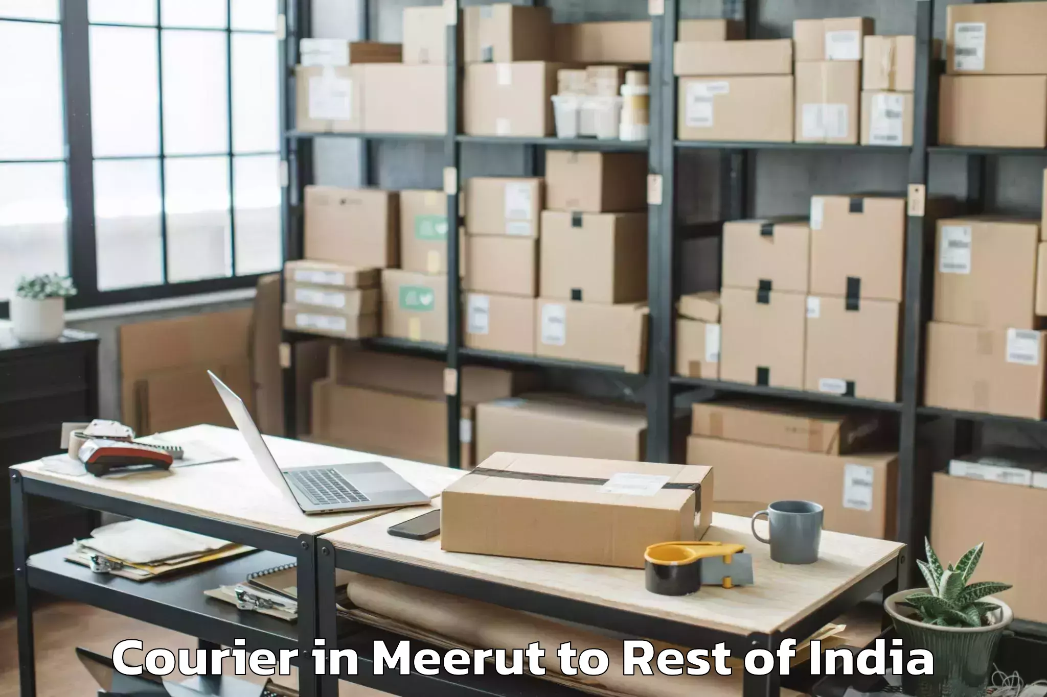 Easy Meerut to Aalo Courier Booking